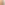 julia-scan-2-web.jpg