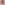 SainsXmas_MFP_Gammon_047