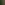 truffles-web600.jpg