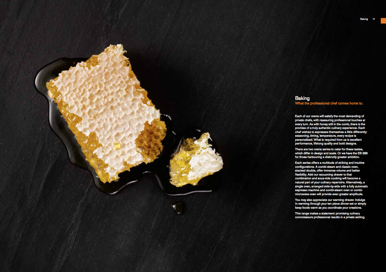 screen shot 2017 01style department production gaggenau honey