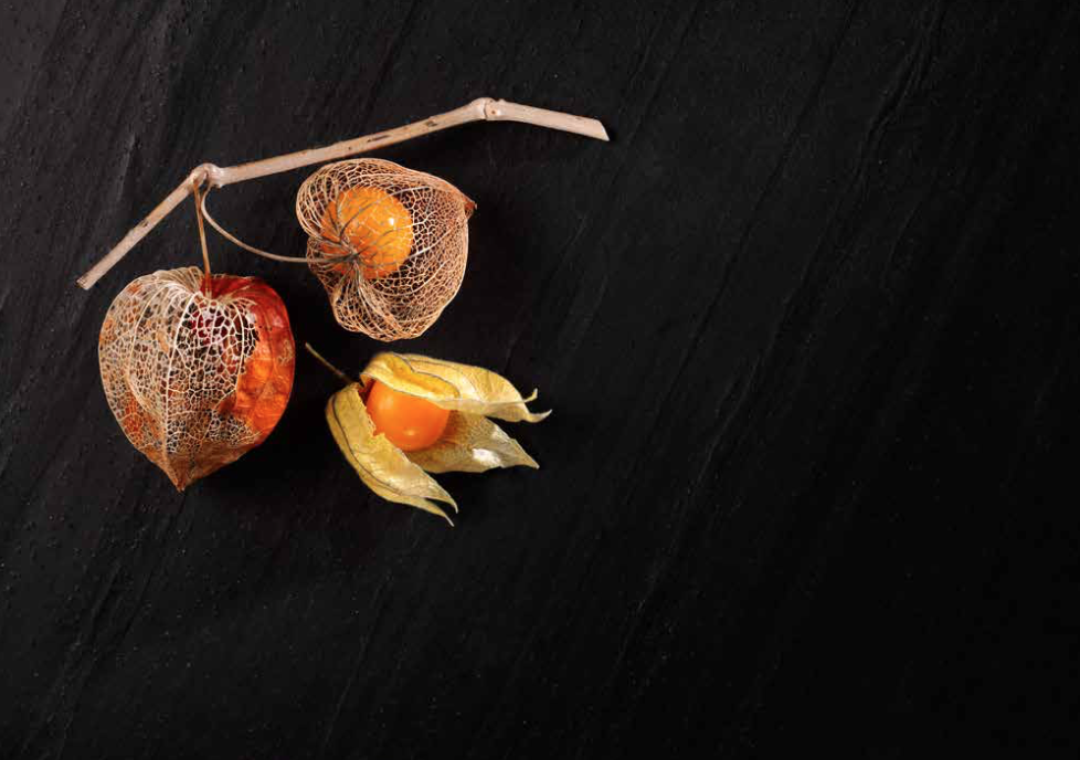 style department production gaggenau physilis