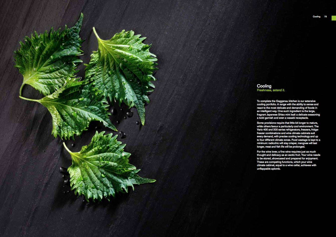 style department production gaggenau shisha